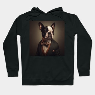 Boston Terrier Dog in Suit Hoodie